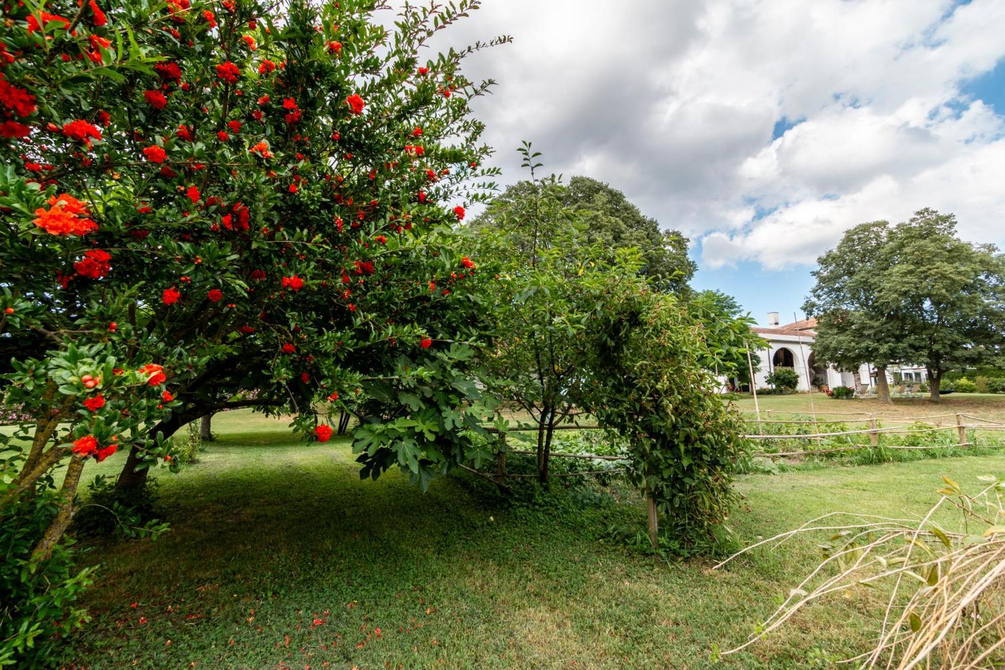 Agriturismo Monte Scala Taglio di Po Eksteriør billede